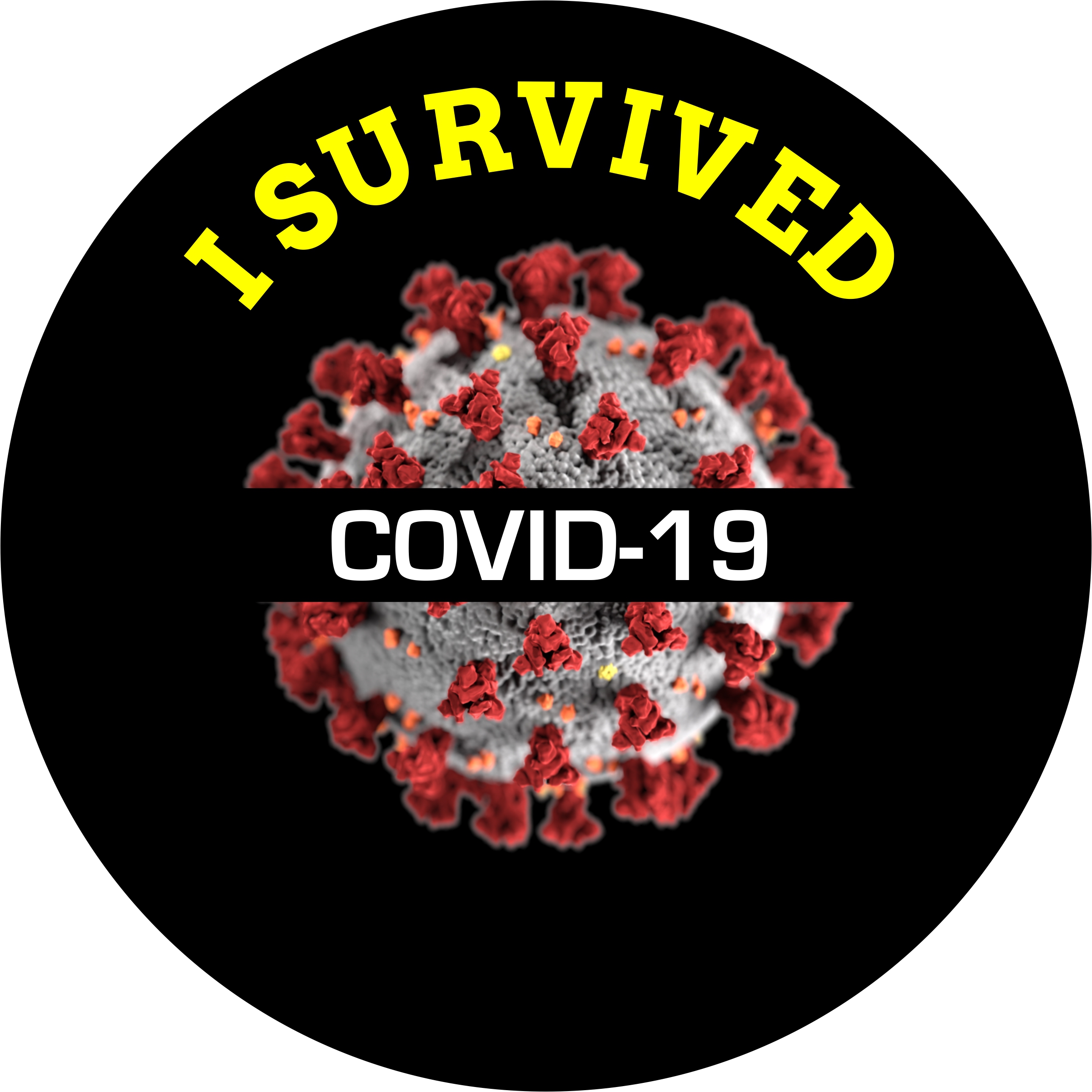 I Survived COVID-19