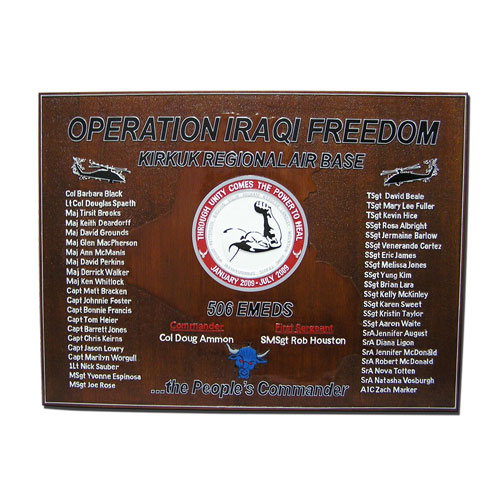 506 EMEDS Deployment Plaque