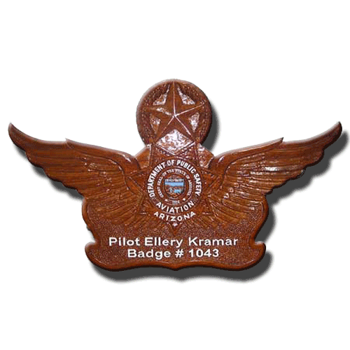 18" Arizona Aviation Wings