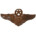 Command Air Battle Manager Wings Insignia Plaque