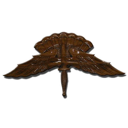 Freefall Parachutist Badge Plaque