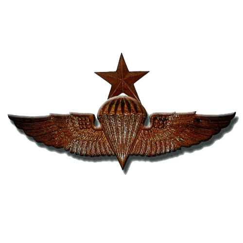 Naval Senior Parachutist Badge Jump Wings Plaque