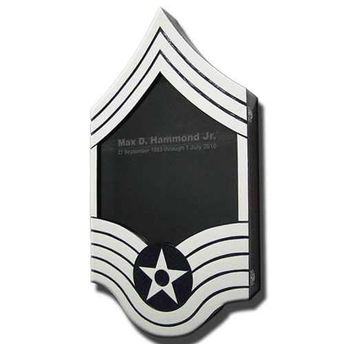 US Air Force E9 Retirement / Shadow Box Colored