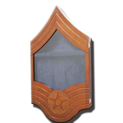 US Air Force E9 Retirement / Shadow Box Natural Light