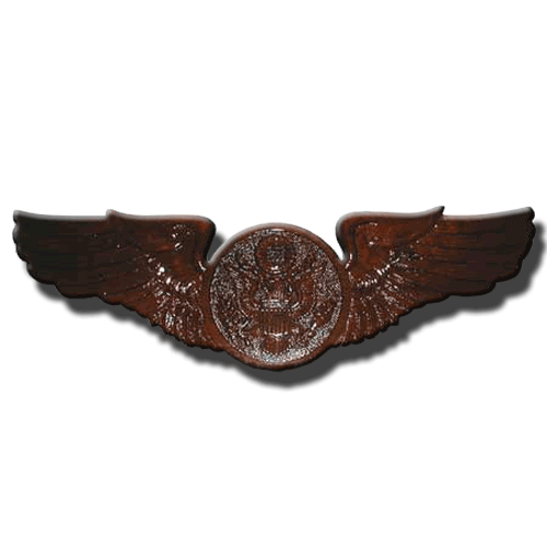 USAF Enlisted Aircrew Badge Insignia Plaque