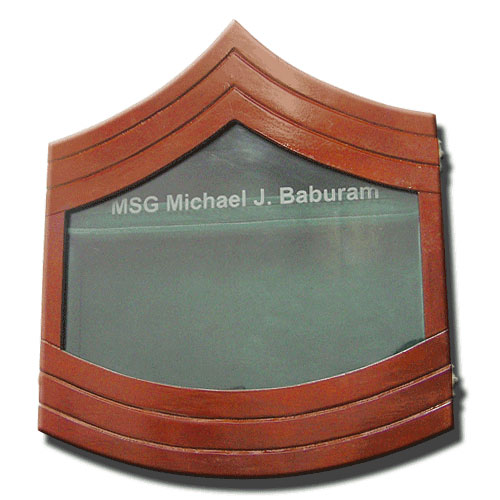 US Army E8 Retirement / Shadow Box Natural Light