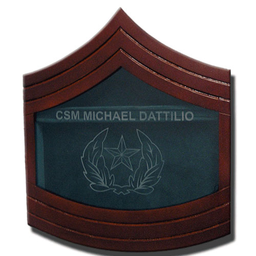 US Army E9 Retirement / Shadow Box Natural Dark