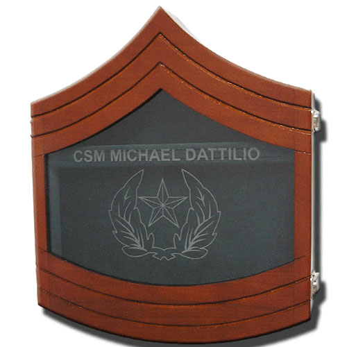 US Army E9 Retirement / Shadow Box Natural Light