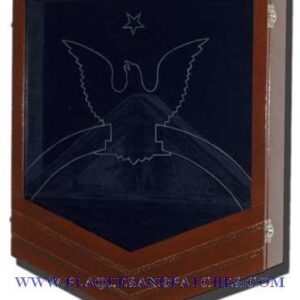 US Coast Guard E8 Retirement / Shadow Box Natural Dark