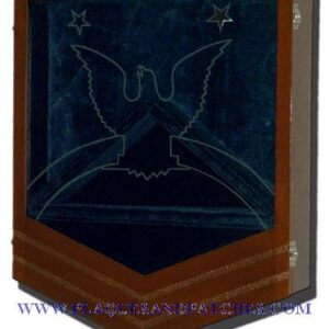 US Coast Guard E9 Retirement / Shadow Box Natural Light