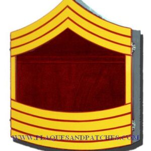 USMC E9 Retirement / Shadow Box Colored