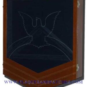 US Navy E7 Retirement / Shadow Box Natural Light