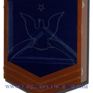 US Navy E8 Retirement / Shadow Box Natural Light